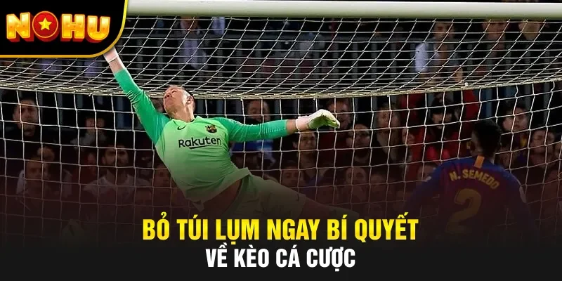 Bỏ túi lụm ngay bí quyết về kèo cá cược